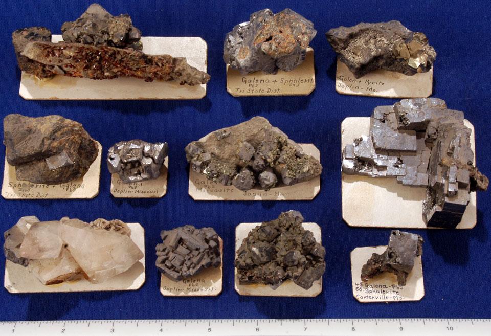 MO Lead, Zinc Species Missouri