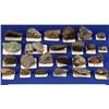 MT - Butte,Silver Bow County - Copper Ore Specimens - Butte, Montana