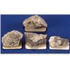 NV - Gold Hill,Storey County - Gold & Silver Ore Specimens - Gold Hill, Nevada