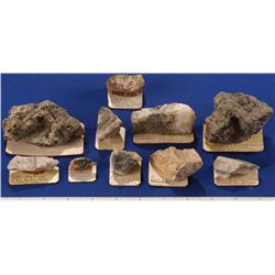 NV - Gold Hill,Storey County - Gold & Silver Specimens - Gold Hill, Nevada