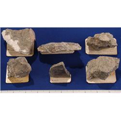 NV - Gold Hill,Storey County - Gold & Silver Specimens - Gold Hill, Nevada