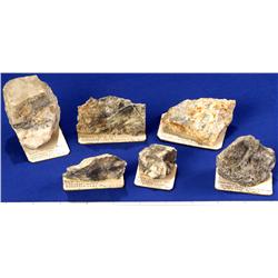 NV - Virginia City,Storey County - Gold & Silver Specimens - Virginia City, Nevada