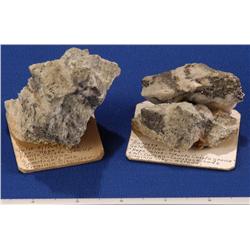 NV - Virginia City,Storey County - Gold & Silver Specimens - Virginia City, Nevada