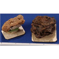 NV - Hawthorn,Mineral County - Gold Bearing Ore Specimens -  Hawthorne, Nevada