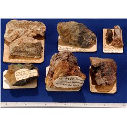 NV - Mineral County - Gold Bearing Specimens - Nevada