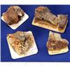 Image 1 : NV - Rawhide,Mineral County - Gold Ore Specimens - Rawhide, Nevada
