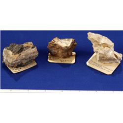 NV - Round Mountain,Nye County - Gold Ore Specimens - Round Mountain, Nevada