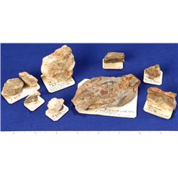 NV - Seven Troughs,Pershing County - Gold Ore Specimens - Seven Troughs, Nevada