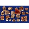 Image 1 : NV - Lovelock,Pershing County - Gold Specimens - Lovelock, Nevada