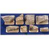 Image 1 : NV - Esmeralda,Gold Specimens - Nevada