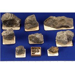 NV - Virginia City,Storey County - Gold Specimens - Virginia City, Nevada