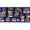 Image 1 : NV - Iron Species - Nevada