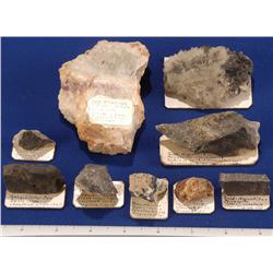 NV - Virginia City,Storey County - Miscellaneous & Gold Bearing Specimens - Virgina City, Nevada