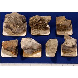 NV - Tuscarora,Elko County - Miscellaneous Mineral Specimens - Tuscarora, Nevada