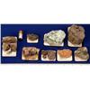 Image 1 : NV - Miscellaneous Odd Metal Species - Nevada