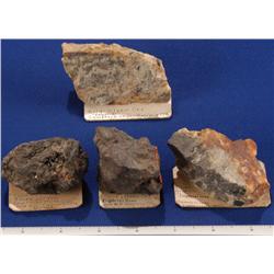 NV - Gold Hill,Storey County - Miscellaneous Species - Gold Hill, Nevada