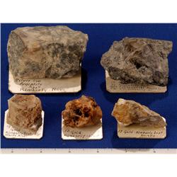 NV - White Pine County - Au-Ag Specimens - Nevada