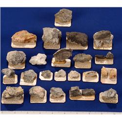 NV - Goldfield,Esmeralda County - Ore Specimens and Odd Gold Minerals- Goldfield, Nevada