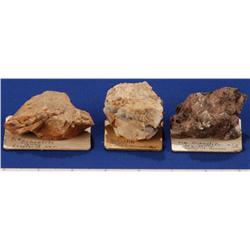 NV - Douglas & Ormsby County - Scheelite Mineral Specimens - Nevada