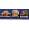 Image 1 : NV - Douglas & Ormsby County - Scheelite Mineral Specimens - Nevada
