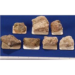 NV - Washoe County - Scheelite, Miscellaneous Specimens - Nevada