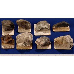 NV - Eureka County - Silver Specimens - Nevada