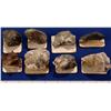 Image 1 : NV - Eureka County - Silver Specimens - Nevada