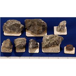 NV - Lander County - Silver Specimens - Nevada