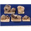 Image 1 : NV - Nye County - Wolfromite Specimens - Nye County
