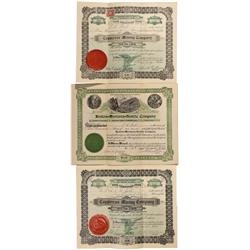 Western Mining Stocks