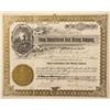 NV - Tokop,Esmeralda - 1905 - Tokop Consolidated Gold Mining Company Stock Certificate