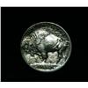 Image 2 : 1913-d TY I Buffalo Nickel 5c Grades Choice Uncirculated ms64
