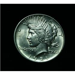 FULLY STRUCK!   1921-p Peace Dollar Grades Select Uncirculated ms63  WOW LOOK AT THE HAIR!