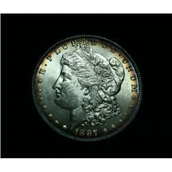 1887-p Morgan Dollar Grades Gem Uncirculated ms64  Rainbow rim toning