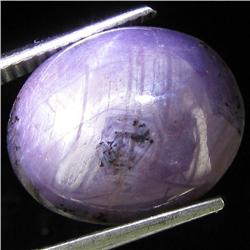 16.90ct Natural Star Ruby Well Patterned  (GEM-32128)