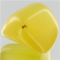51.9ct Yellow Opal Freeform Cabochon (GEM-34215)