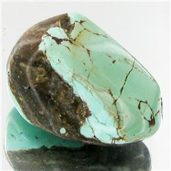 39.4ct Green Turquoise Freeform Cabochon (GEM-33785)