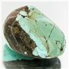 39.4ct Green Turquoise Freeform Cabochon (GEM-33785)