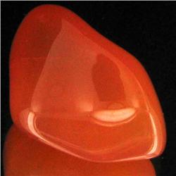 29.55ct Carnelian Freeform Cabochon (GEM-34083)