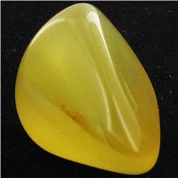 31.45ct Yellow Opal Freeform Cabochon (GEM-34320)