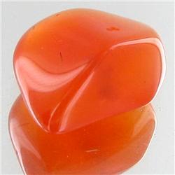 16.2ct Carnelian Freeform Cabochon (GEM-34113)