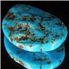 90.9ct Natural Turquoise Cabochon  (GEM-32680)