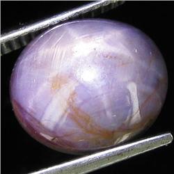 9.00ct Natural Star Ruby Well Patterned  (GEM-32118)