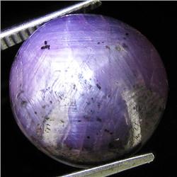 16.85ct Natural Star Ruby Well Patterned  (GEM-32103)