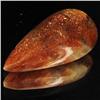 Image 1 : 33.35ct Vibrant Sunstone Cabochon (GEM-32019)