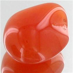 21.7ct Carnelian Freeform Cabochon (GEM-34103)