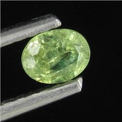 0.25ct Rich Green Demantoid Garnet (GEM-26557)