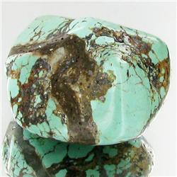 48.45ct Green Turquoise Freeform Cabochon (GEM-33805)