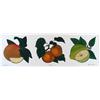 Image 1 : FRUIT MITRA HAND COLORED ETCHING RARE SALE