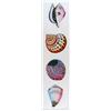 Image 1 : SEA SHELLS HAND COLORED ETCHING HUGE SALE